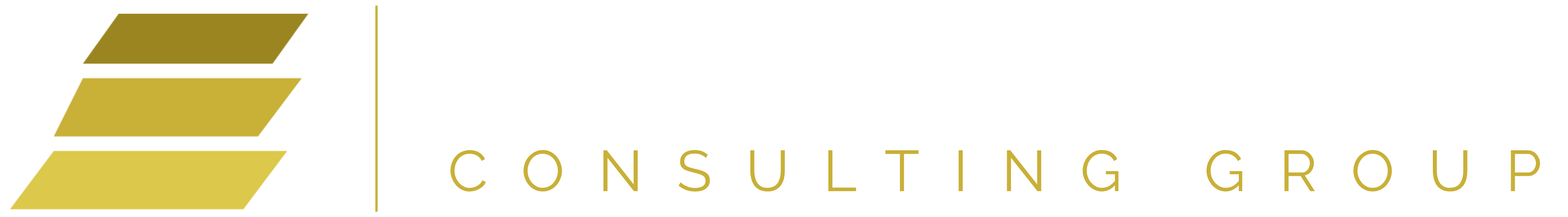 Blackstone Consulting Group